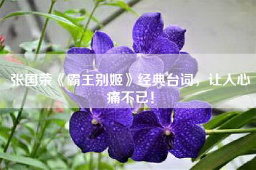 张国荣《霸王别姬》经典台词，让人心痛不已！