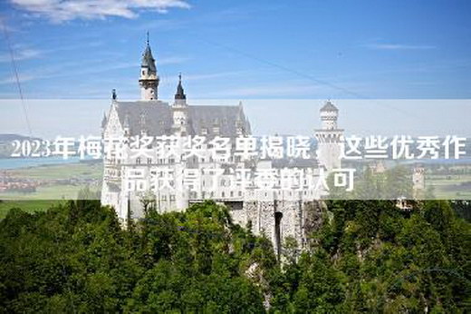 2023年梅花奖获奖名单揭晓，这些优秀作品获得了评委的认可
