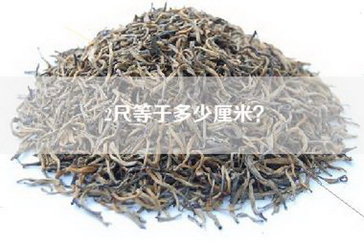 2尺等于多少厘米？
