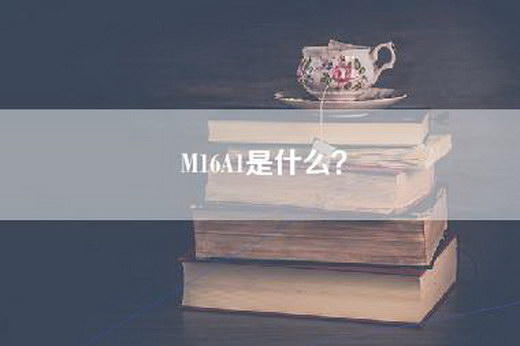 M16A1是什么？