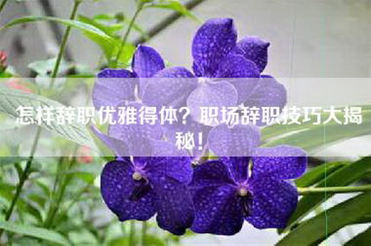 怎样辞职优雅得体？职场辞职技巧大揭秘！