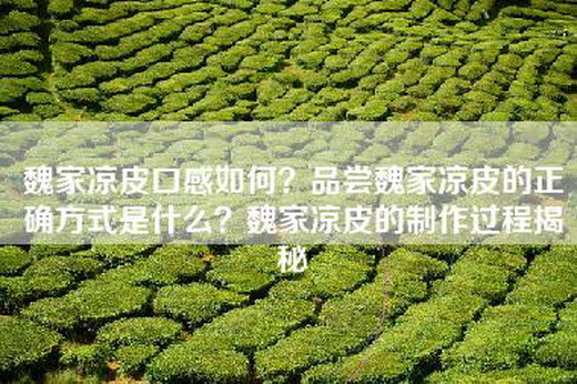 魏家凉皮口感如何？品尝魏家凉皮的正确方式是什么？魏家凉皮的制作过程揭秘