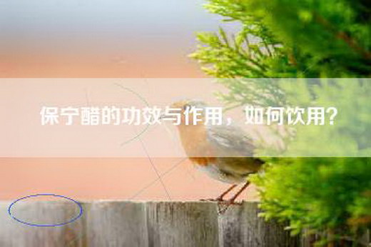 保宁醋的功效与作用，如何饮用？