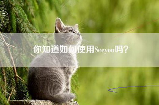 你知道如何使用Seeyou吗？