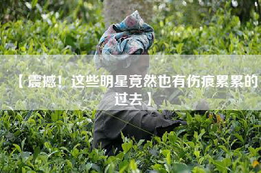 【震撼！这些明星竟然也有伤痕累累的过去】