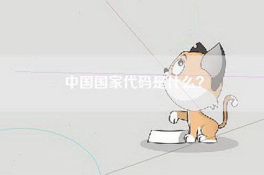 中国国家代码是什么？