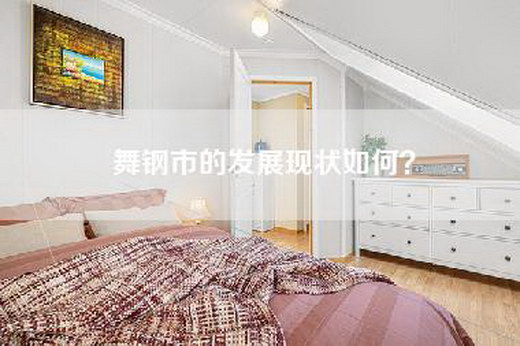 舞钢市的发展现状如何？