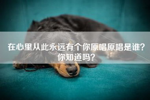 在心里从此永远有个你原唱原唱是谁？你知道吗？
