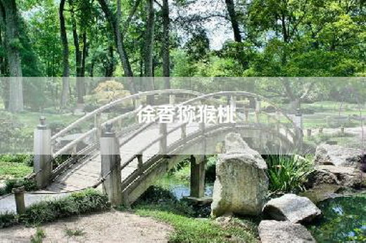 徐香猕猴桃