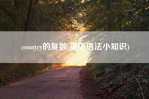 country的复数(英语语法小知识)