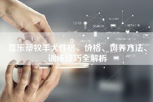 喜乐蒂牧羊犬性格、价格、饲养方法、训练技巧全解析