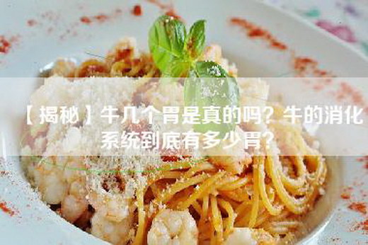 【揭秘】牛几个胃是真的吗？牛的消化系统到底有多少胃？