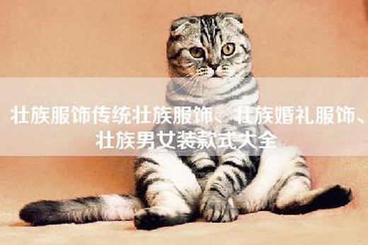 壮族服饰传统壮族服饰、壮族婚礼服饰、壮族男女装款式大全