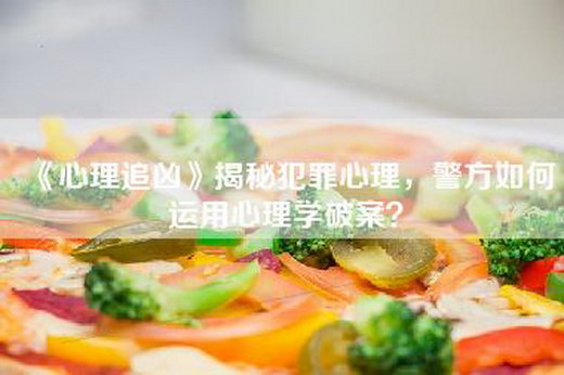 《心理追凶》揭秘犯罪心理，警方如何运用心理学破案？