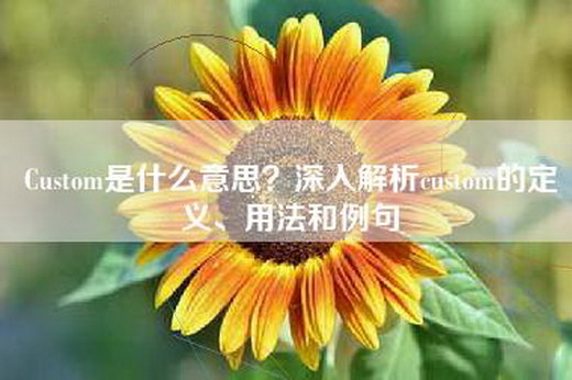 Custom是什么意思？深入解析custom的定义、用法和例句