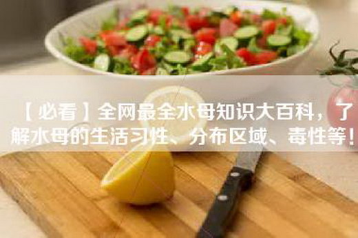 【必看】全网最全水母知识大百科，了解水母的生活习性、分布区域、毒性等！