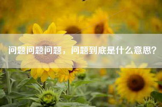 问题问题问题，问题到底是什么意思？