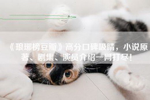 《琅琊榜豆瓣》高分口碑吸睛，小说原著、剧集、演员介绍一网打尽！
