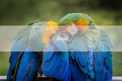 dopa