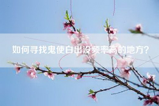 如何寻找鬼使白出没频率高的地方？