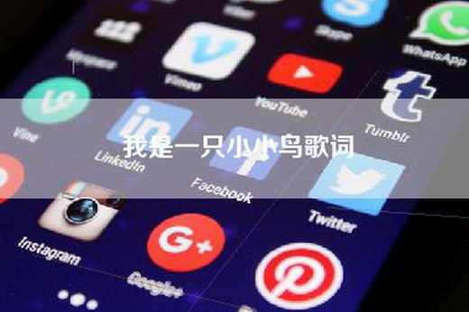 我是一只小小鸟歌词