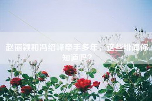 赵丽颖和冯绍峰牵手多年，这些绯闻你知道吗？
