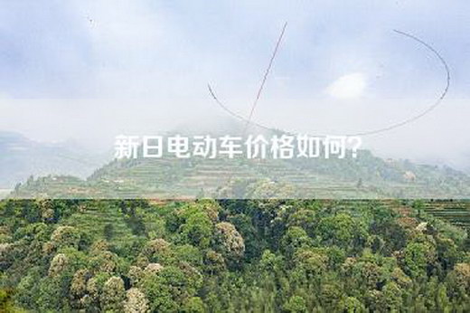 新日电动车价格如何？