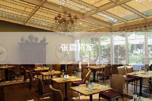 张震将军