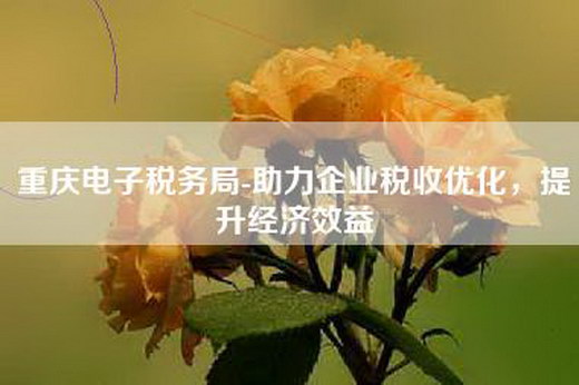 重庆电子税务局-助力企业税收优化，提升经济效益