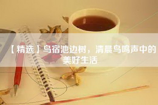 【精选】鸟宿池边树，清晨鸟鸣声中的美好生活