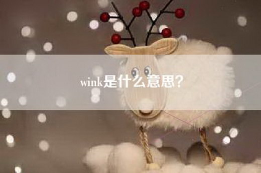 wink是什么意思？