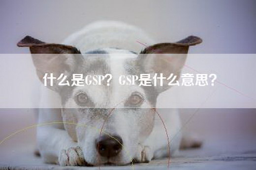 什么是GSP？GSP是什么意思？