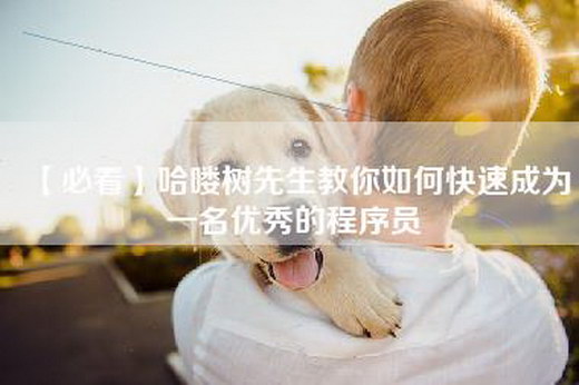 【必看】哈喽树先生教你如何快速成为一名优秀的程序员