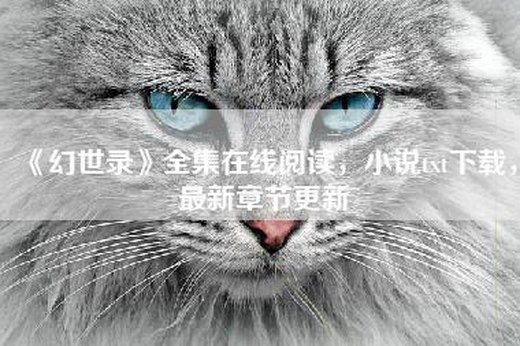 《幻世录》=阅读，小说=，最新章节更新