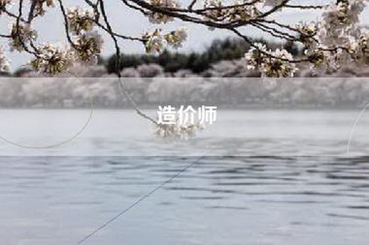 造价师