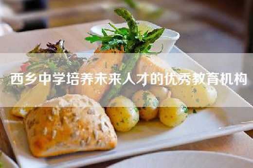 西乡中学培养未来人才的优秀教育机构