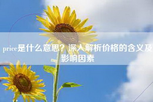 price是什么意思？深入解析价格的含义及影响因素