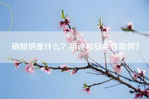 硝酸钠是什么？用途和安全性如何？