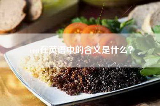con在英语中的含义是什么？