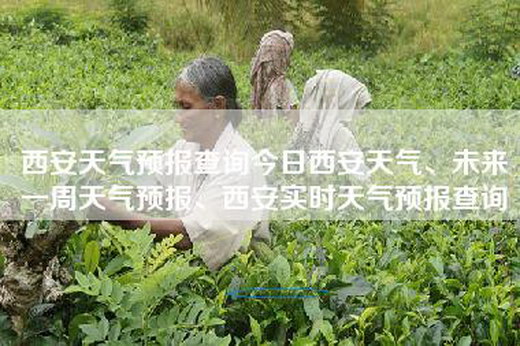 西安天气预报查询今日西安天气、未来一周天气预报、西安实时天气预报查询