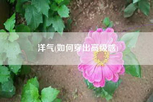 洋气(如何穿出高级感)
