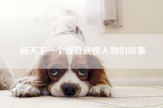 杨天下一个传奇武侠人物的故事