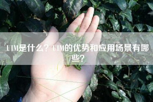 UIM是什么？UIM的优势和应用场景有哪些？