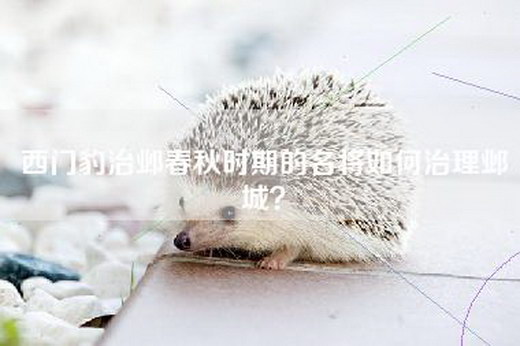 西门豹治邺春秋时期的名将如何治理邺城？