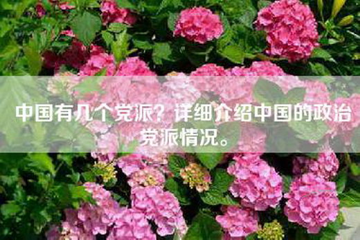 中国有几个党派？详细介绍中国的政治党派情况。
