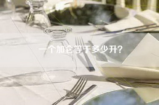 一个加仑等于多少升？