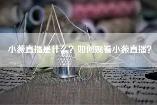 小薇直播是什么？如何观看小薇直播？