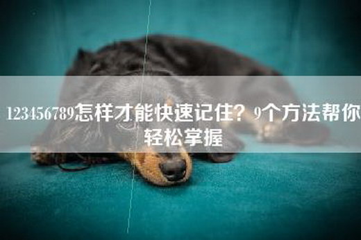 123456789怎样才能快速记住？9个方法帮你轻松掌握