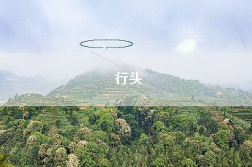 行头