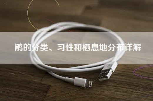鹇的分类、习性和栖息地分布详解